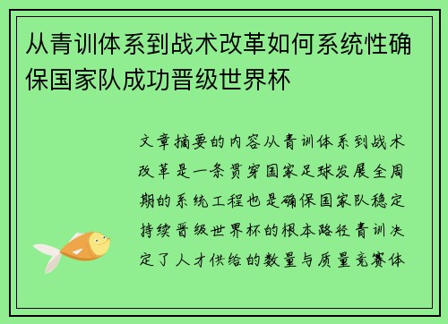从青训体系到战术改革如何系统性确保国家队成功晋级世界杯